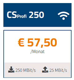 cs-profi-250