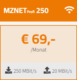mznet-profi-250-neu