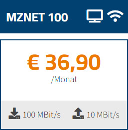 produkt-mznet-100-2026