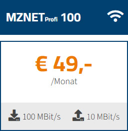 produkt-mznet-profi-100-2026