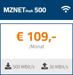 produkt-mznet-profi-500-2026
